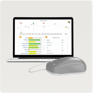 Brain Gauge: Brain Function Evaluation