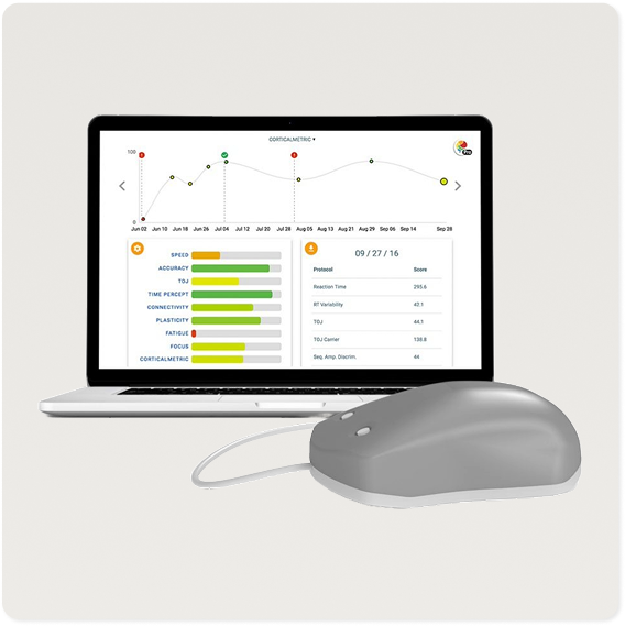 Brain Gauge: Brain Function Evaluation